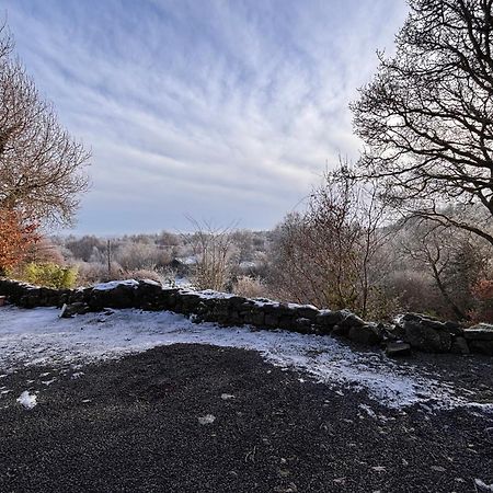 Sligo Forest Retreat Villa Eksteriør billede