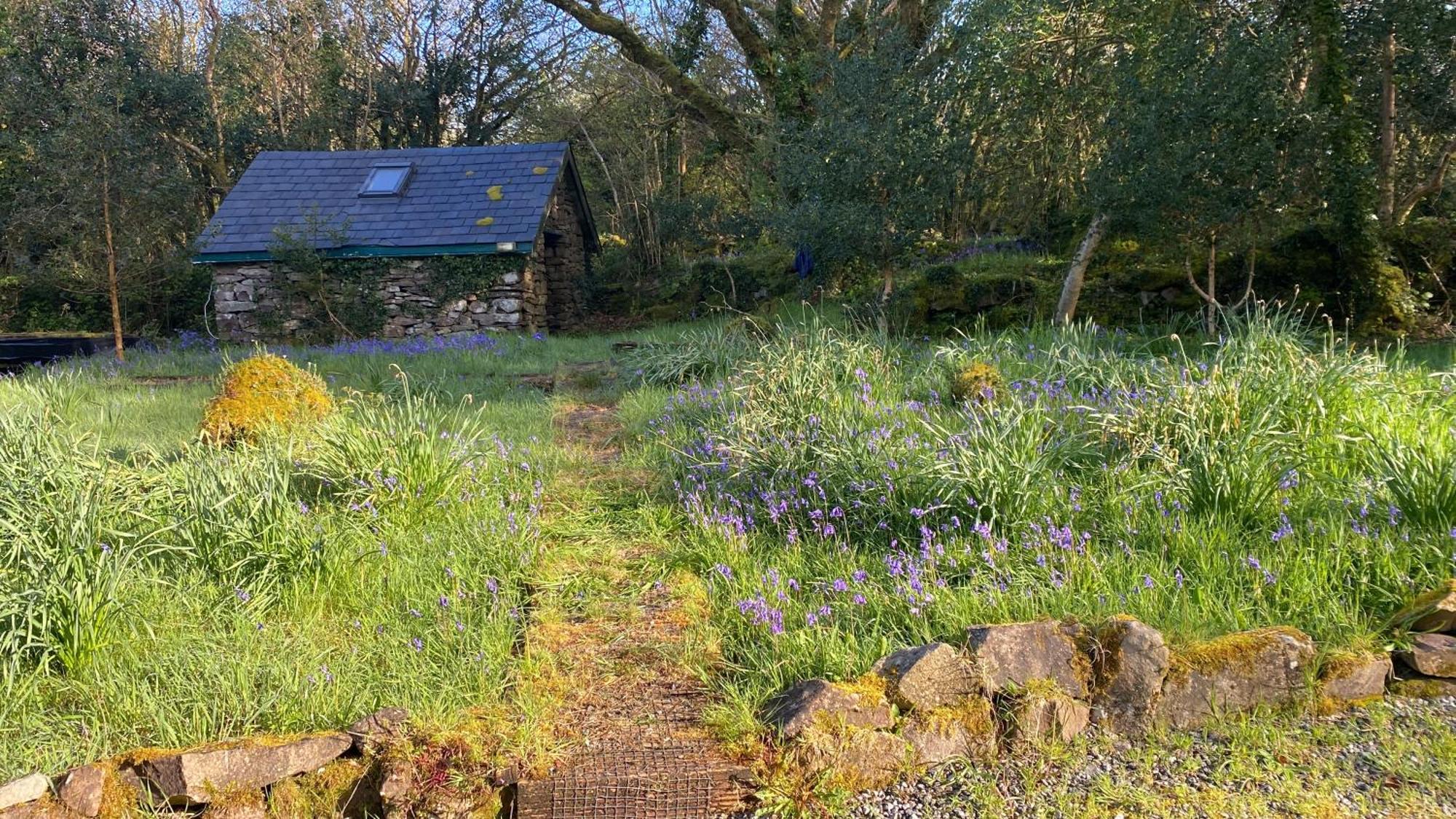 Sligo Forest Retreat Eksteriør billede