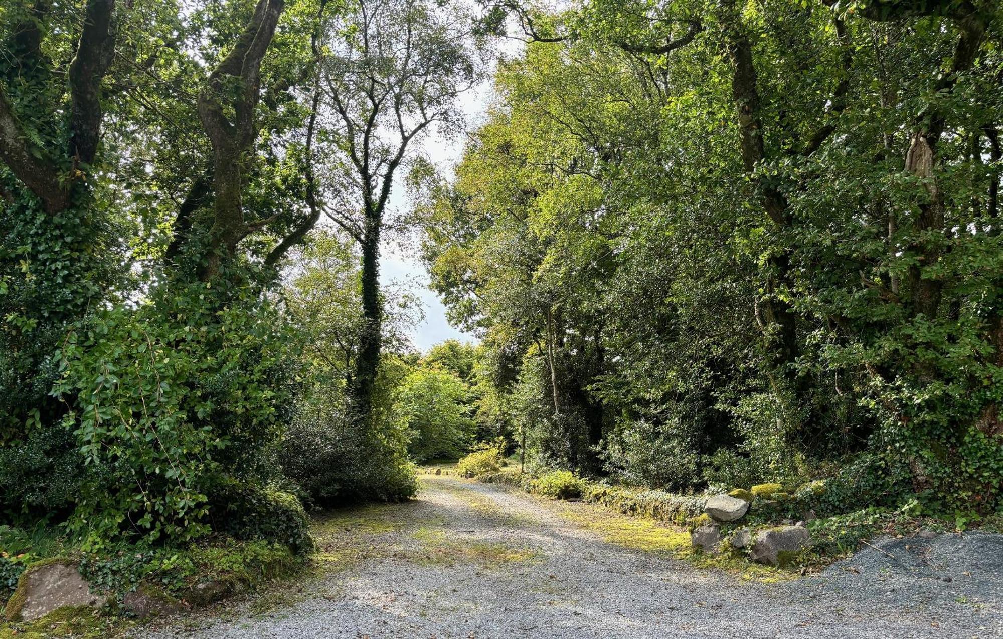 Sligo Forest Retreat Eksteriør billede