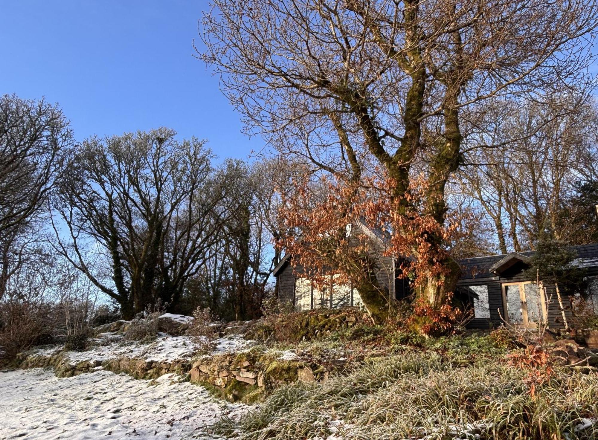 Sligo Forest Retreat Eksteriør billede